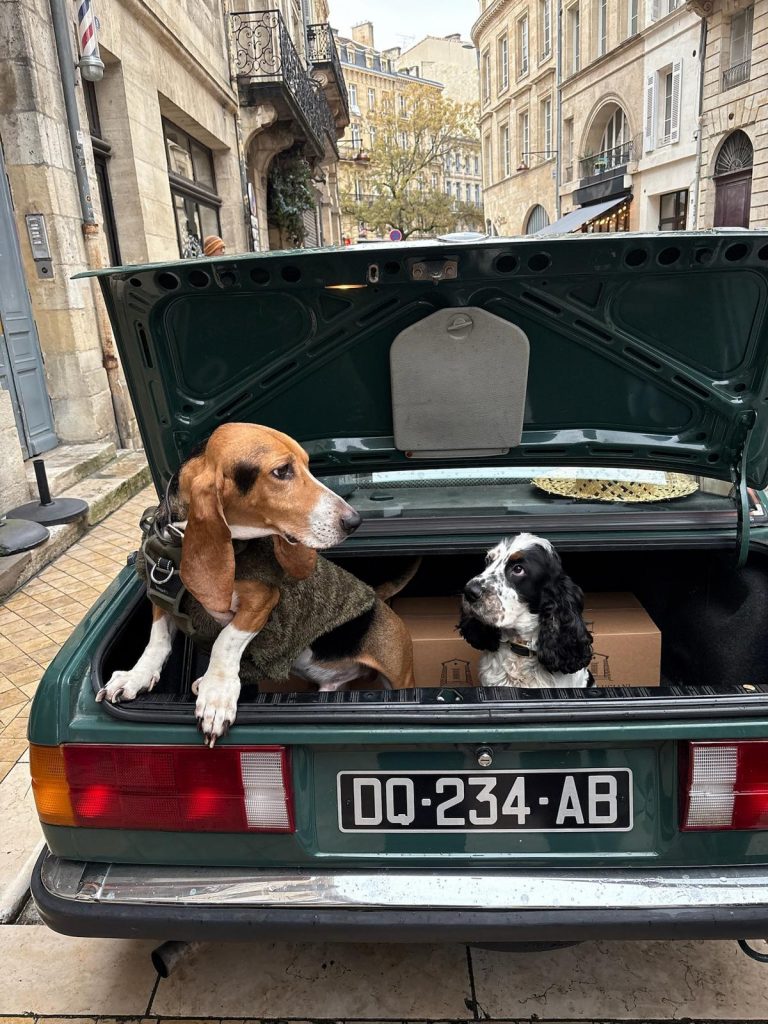 Bistrot Culsec Bordeaux 10