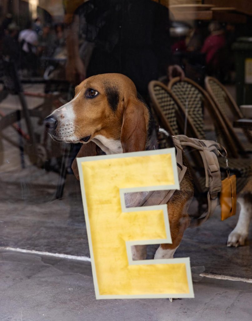 Bistrot Culsec Bordeaux 44